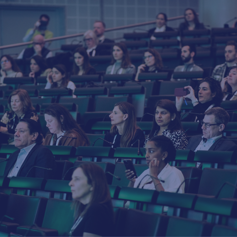 Audience professional